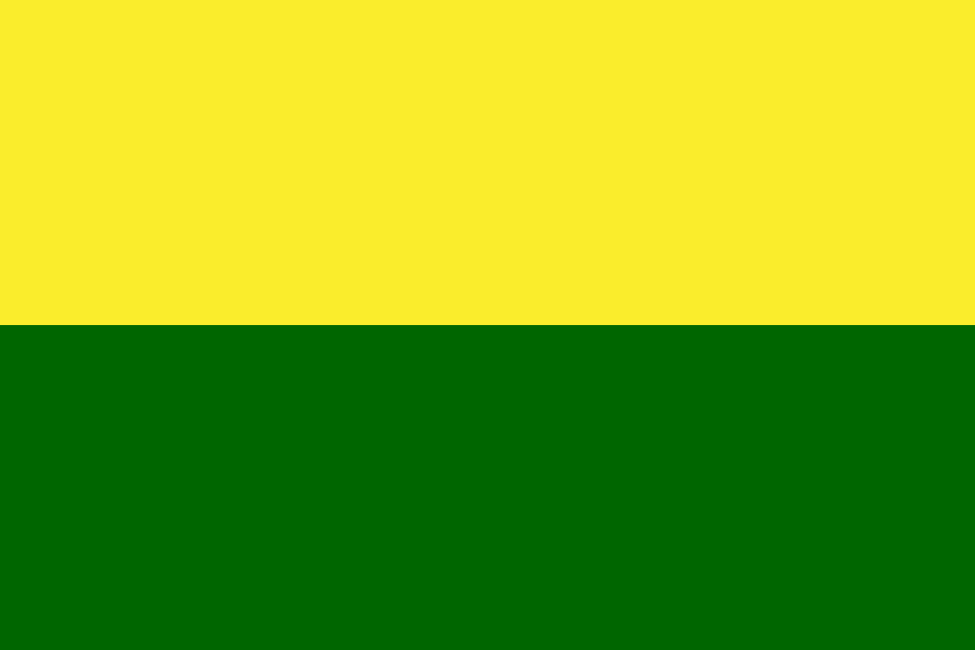 Bandera de San Martín
