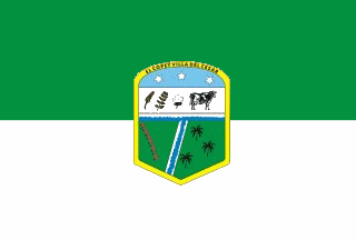 Bandera de El Copey